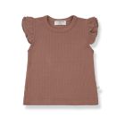 One more in the family SILVANA girly top Cedar